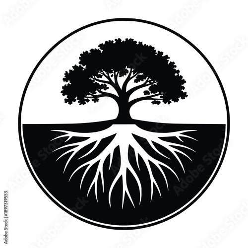 Tableau sur toile Silhouette of a tree with visible roots inside a circle
