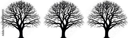 Bare tree silhouette set with detailed branches in bold black style, leafless winter nature illustration for landscape design, seasonal concepts and vector projects