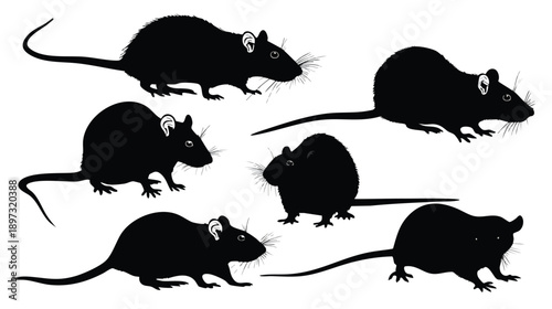 Group of black rats in motion silhouettes.