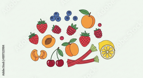 Colorful illustration of assorted fresh fruits including strawberries peaches and citrus fruits arranged in a circular pattern on a light green background