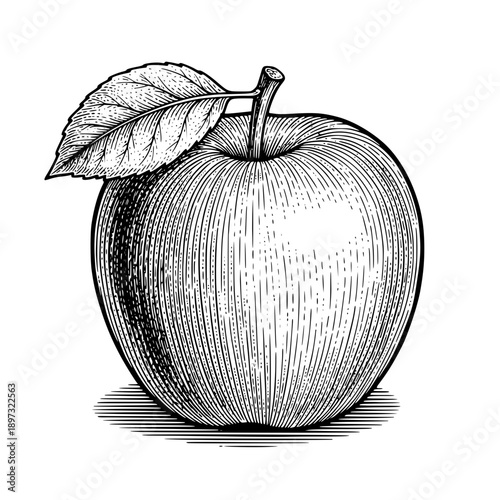 Vintage detailed engraving style illustration of a fresh apple with a stem and leaf, capturing its classic botanical essence and healthy appeal