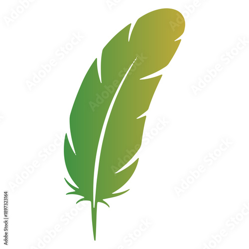 Colorfull Bird Feather Icon