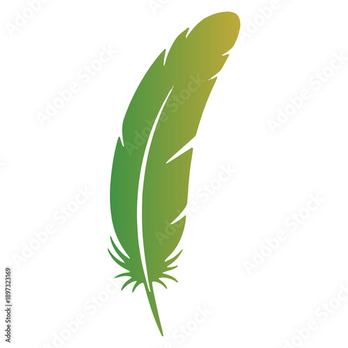 Colorfull Bird Feather Icon
