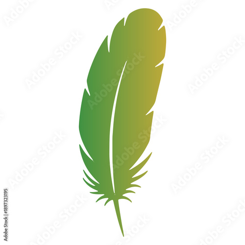 Colorfull Bird Feather Icon