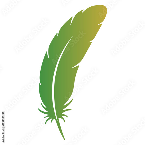 Colorfull Bird Feather Icon