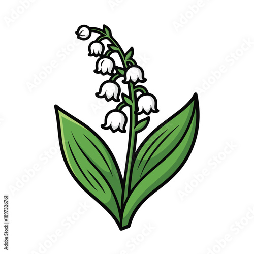 Lily of the Valley Flower Illustration.
