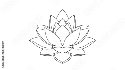 Elegant outline drawing of a blooming lotus flower symbol of purity and tranquility