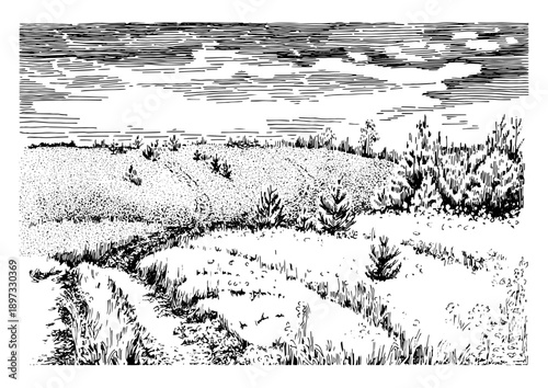 Rural scenery landscape panorama of countryside pastures. Green grass field on small hills. Vector sketch illustration