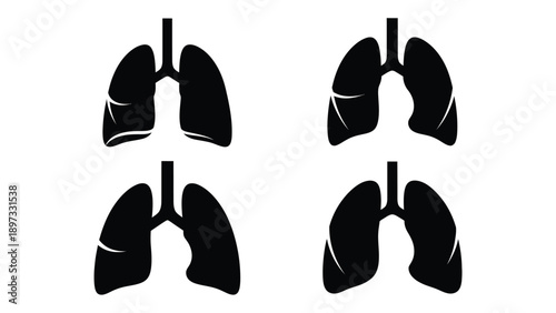 Detailed depiction of human lungs anatomical illustration in black and white silhouette