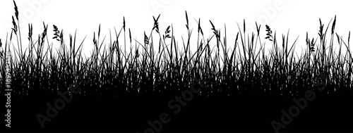 Black grass silhouette border with wild meadow plants and tall reeds, dense natural texture isolated on white background for landscape, nature and design projects