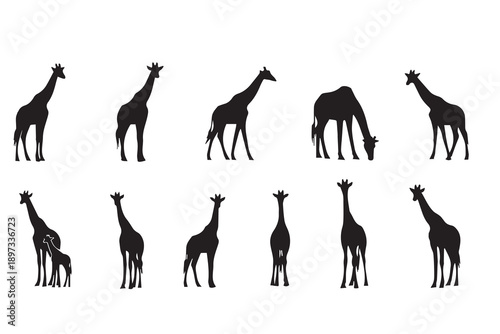 Set of Giraffe Silhouettes in Various Poses, Wild African Animal Vector Icons