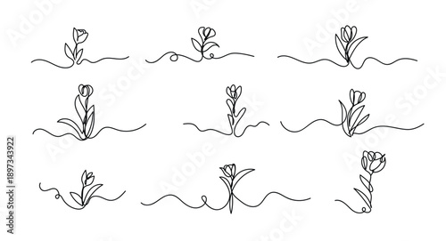 Tulip one line drawing set.Abstract flower continuous line. Minimalist contour drawing of tulip. Continuous line drawing of flower tulip.Hand drawn