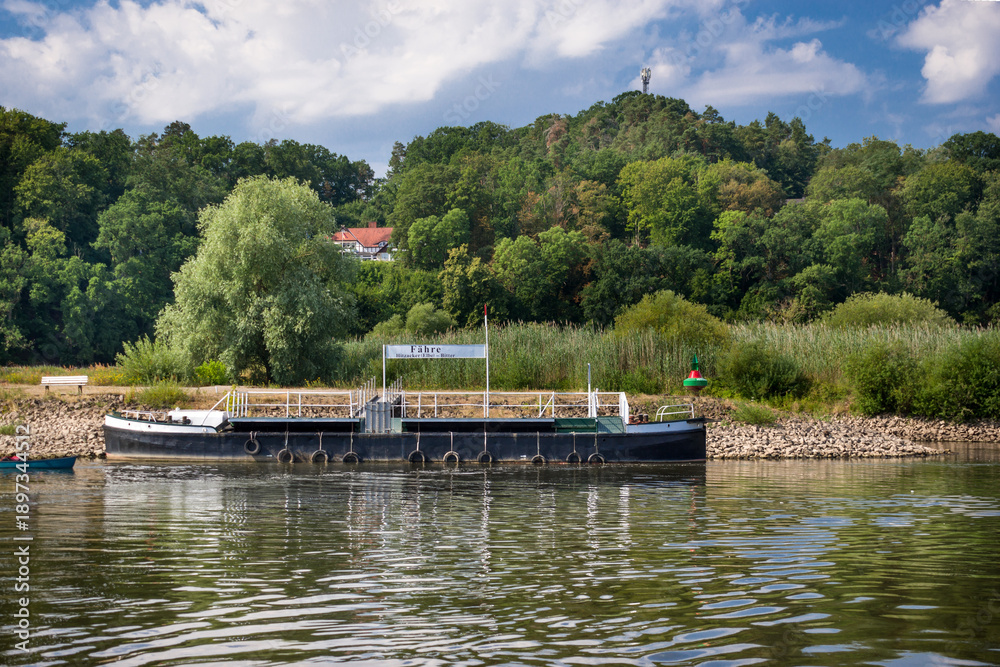 Obraz premium Hitzacker Fähranleger Elbe Sommer