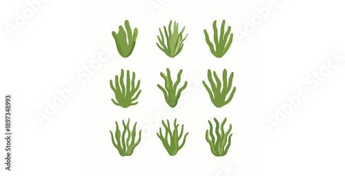 Green algae growth flat vector illustration set for aquatic environment concept