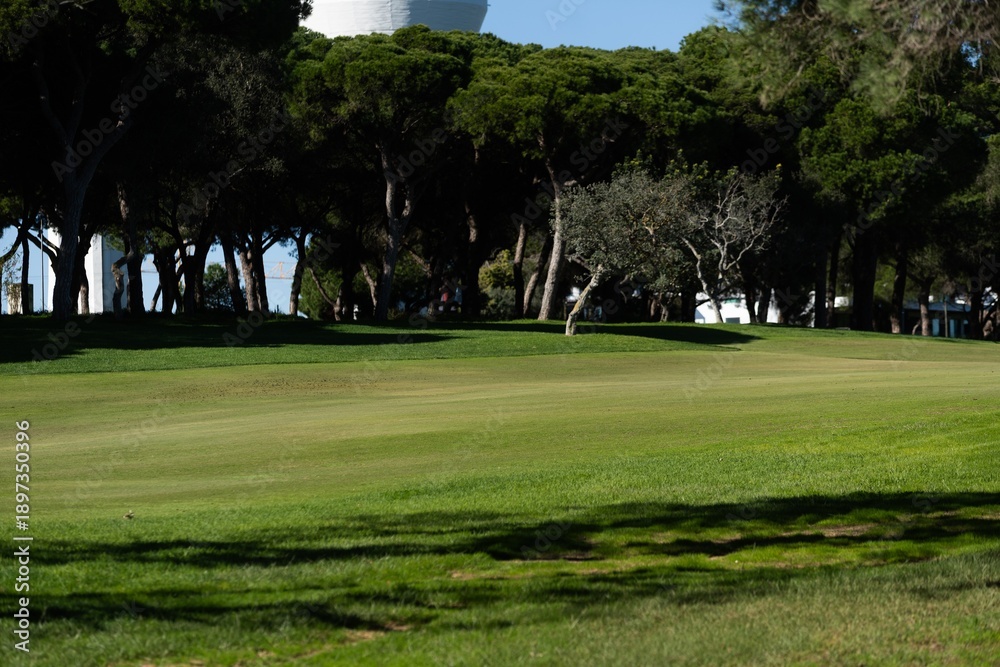 Fototapeta premium Beautiful View of Green Golf Field with Blue Sky.