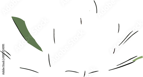 Green leaf and black fragments on white.