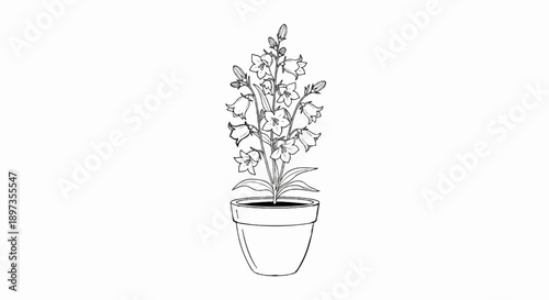 A black and white line art illustration of a potted plant with numerous bell-shaped flowers and leaves