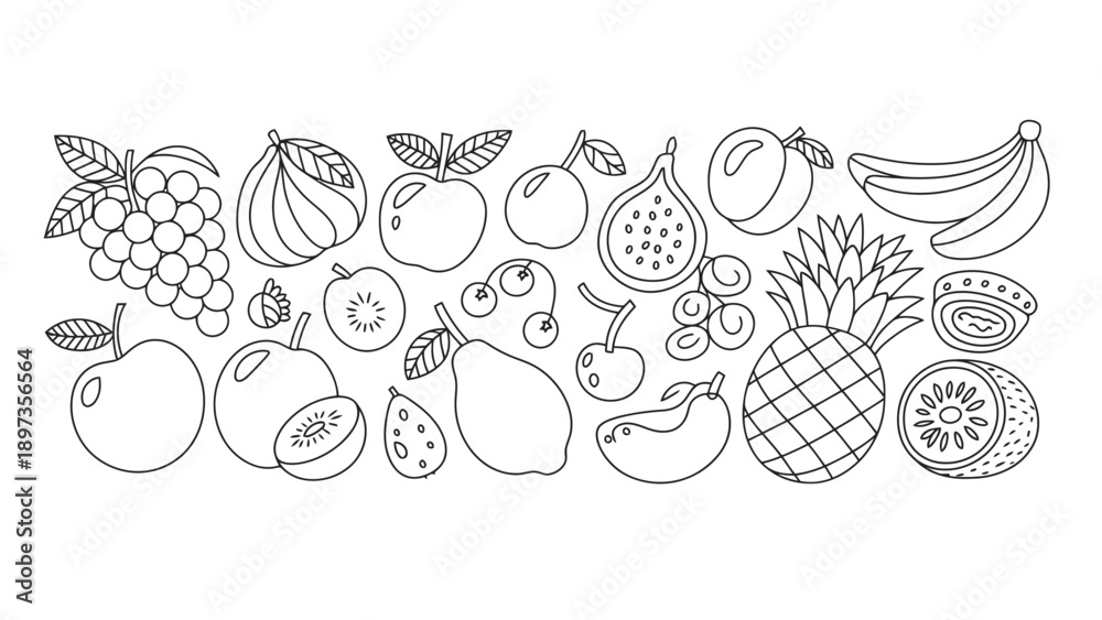 Fototapeta premium A collection of various fruits in a simple line drawing style