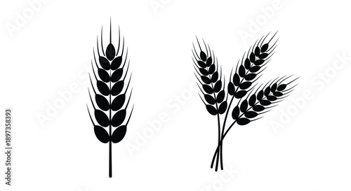 Black wheat stalks and sprigs a simple botanical illustration silhouette