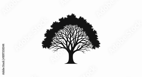 A minimalist black silhouette of a tree with a full leafy canopy and intricate bare branches inside