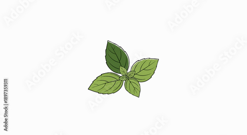 A stylized illustration of a fresh green herb sprig with multiple leaves, detailed veins, on a white background