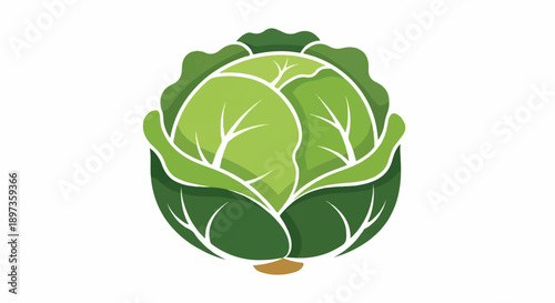 A stylized illustration of a fresh, green cabbage head with layered leaves and a small brown stem
