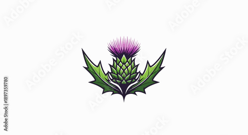 A vibrant cartoon style illustration of a purple flowering thistle with spiky green leaves on a white background