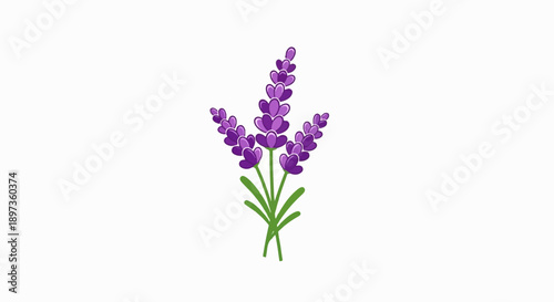 A simple illustration featuring a small bunch of three stylized purple lavender flower stalks with green stems