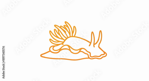 A simple orange outline illustration of a nudibranch, a sea slug, on a clean white background