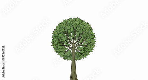 A simplified, stylized illustration of a deciduous tree with a full, round green canopy and brown trunk