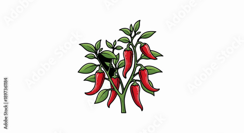 A vibrant, simple illustration of a chili plant with numerous red peppers and green foliage