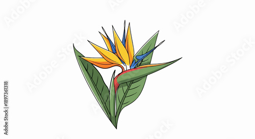 A vibrant, stylized illustration of a Bird of Paradise flower with orange and blue petals and green leaves