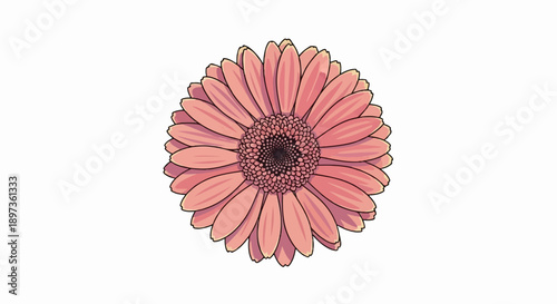 A vibrant, stylized illustration of a single pink daisy-like flower with a dark center on white