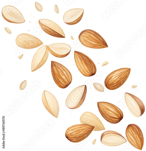Wallpaper Mural Almond slices falling on white background	 Torontodigital.ca