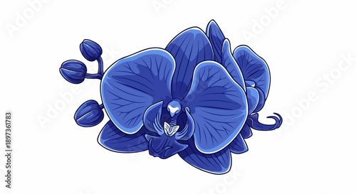A vivid blue orchid illustration featuring multiple open flowers and unopened buds on a plain white background