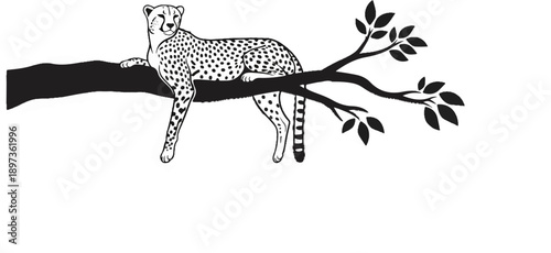 A stylized black and white illustration of a cheetah with spots, resting calmly on a tree branch with leaves