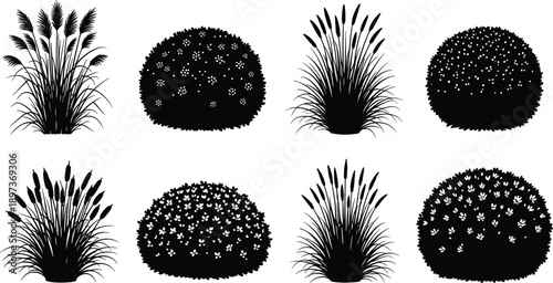 Ornamental grass shrub silhouette vector set, black white botanical clipart, flowering plant illustration, landscape design artwork bundle