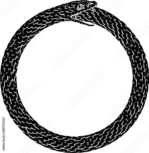 An Ouroboros or Uroboros circle snake eating tail circular symbol in a vintage woodcut etching style.