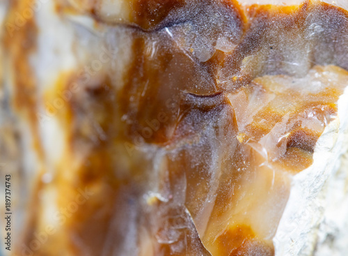 Dendritic agate natural stone, tree agate gem, close-up background