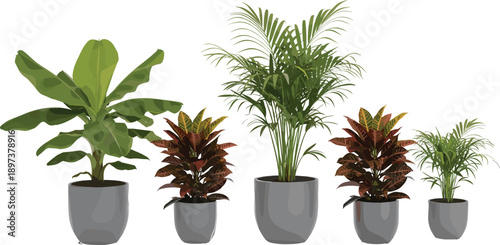 Set of tropical indoor potted plants, exotic houseplant collection in grey ceramic pots, banana palm and croton leaves vector, botanical home decor, isolated