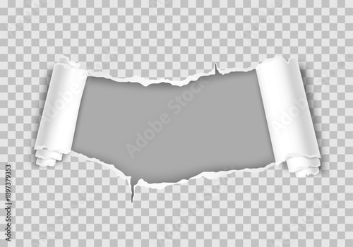 Horizontal torn paper hole with rolled right edge, realistic ripped white paper revealing transparent background.