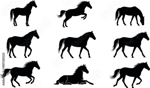 Set of black horse silhouettes in various poses including running jumping grazing walking and sitting isolated on white background vector