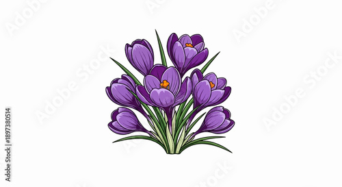 Vibrant purple flowers with green leaves and orange stamens forming a cheerful bouquet on white