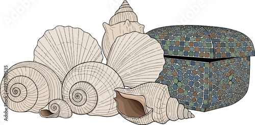 An illustration of assorted beige seashells and a colorful mosaic treasure chest, suggesting a beach collection