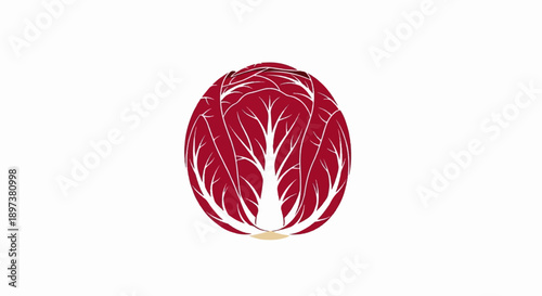 Stylized illustration of a vibrant red radicchio vegetable with prominent white veins on a clean white background