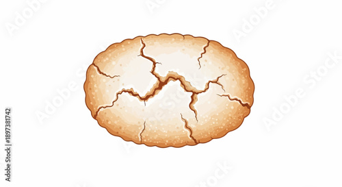 An oval-shaped, light brown baked cookie with a cracked white sugary top, isolated on a white background