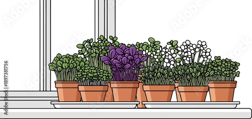 Various potted plants, including green sprouts, purple varieties, and white flowers, line a bright windowsill