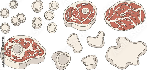 An assortment of raw meat cuts, including steaks with bones and boneless portions, alongside bone fragments