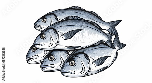 Illustration of a pile of freshly caught silver fish, stacked neatly against a clean white background
