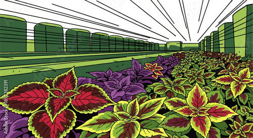 Colorful illustration of patterned foliage plants in a garden setting with green hedges and abstract lines
